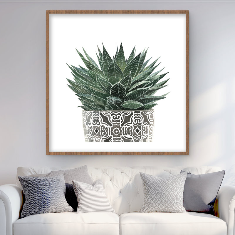 «Zebra Plant Succulent - Cactus Scandinavian», reproduction encadrée, H 36 po x l 36 po, Brun