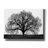 'The Tree' by John Jones, Giclee Canvas Wall Art-1960000172