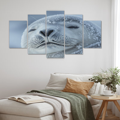 Seal In Black And Grey Tones II - Seal Canvas Art Set