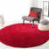 Jiang Red Area Rug