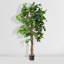 Faux ficus en pot-1915798491