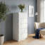 Edmore 5 Drawer Tall Narrow Chest-477879262