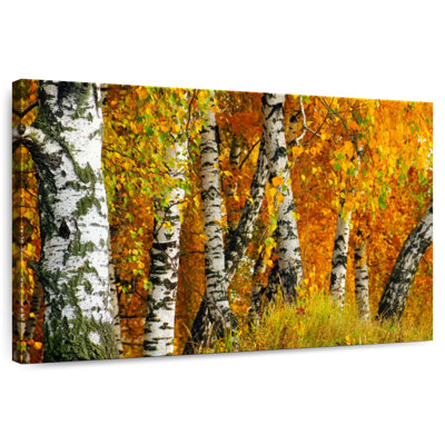 Harnek White Birch Tree Trunk