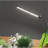 Grow Light LED Gooseneck Lamp