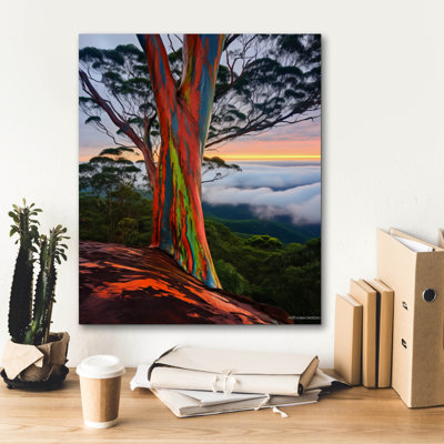 Winston Porter 'Rainbow Eucalyptus 1' by r3darch0n Canvas Wall Art