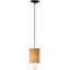 1 - Light Pendant