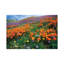 California Poppy and Other Wildflowers Growing on Hillside, Spring, Antelope Valley, California 1 Piece Wrapped Canvas Wall Art-1127674559
