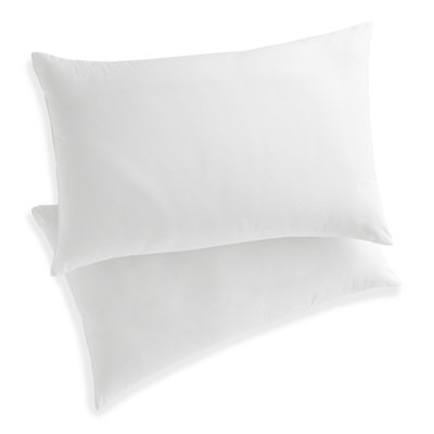 Martex Clean Essentials Pillow and Pillow Protector Set With Silverbac Antimicrobial Technology