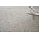 Borelli Wool Area Rug in Beige