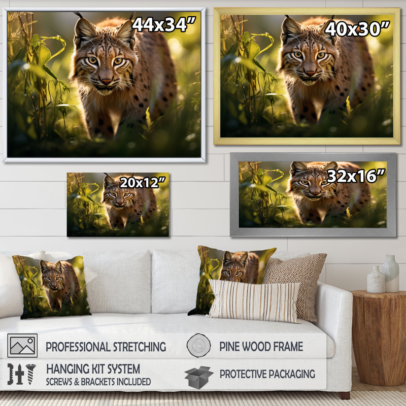 Portrait de lynx brun dans la nature, H 34 po x l 44 po x P 1,5 po, Cadre photo blanc
