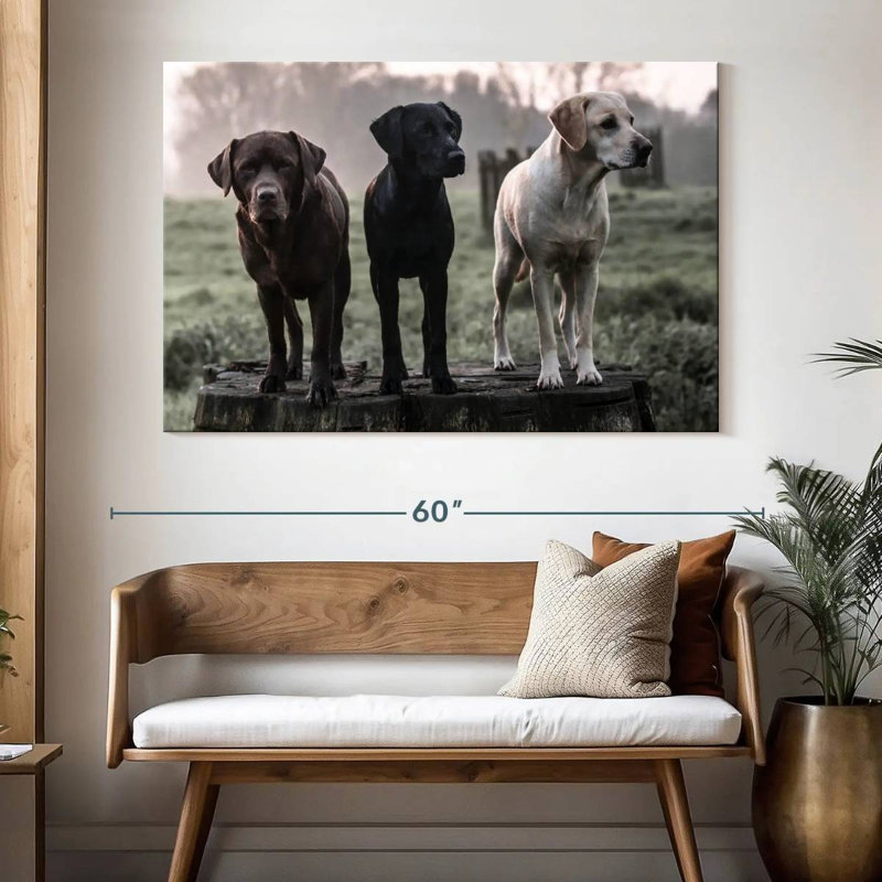 Brampt Labrador Dogs, H 34 po x l 51 po