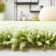 Assar Solid Color Handmade Tufted Polyester Area Rug in Lime
