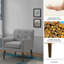 Fauteuil capitonné de 27,5 po Kirilka CAL117-1457135823