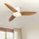 Karlena Ceiling Fan with LED Lights and Remote Control
