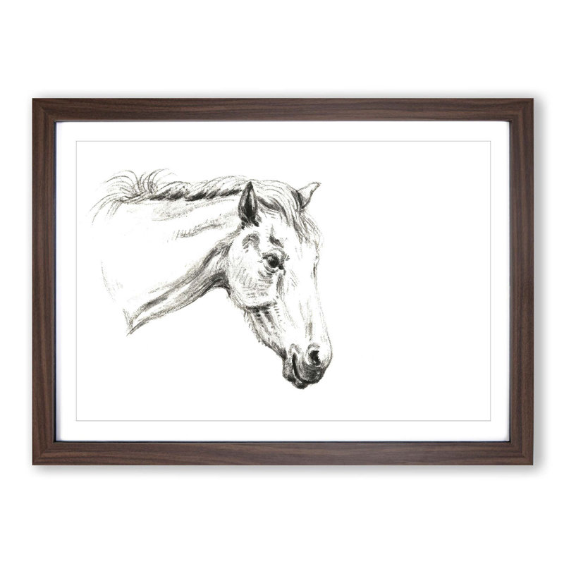 A Portrait of a Horse by Jean Bernard - Picture Frame Drawing Print on Paper, 33cm H x 45cm W x 2cm D, Walnut Framed