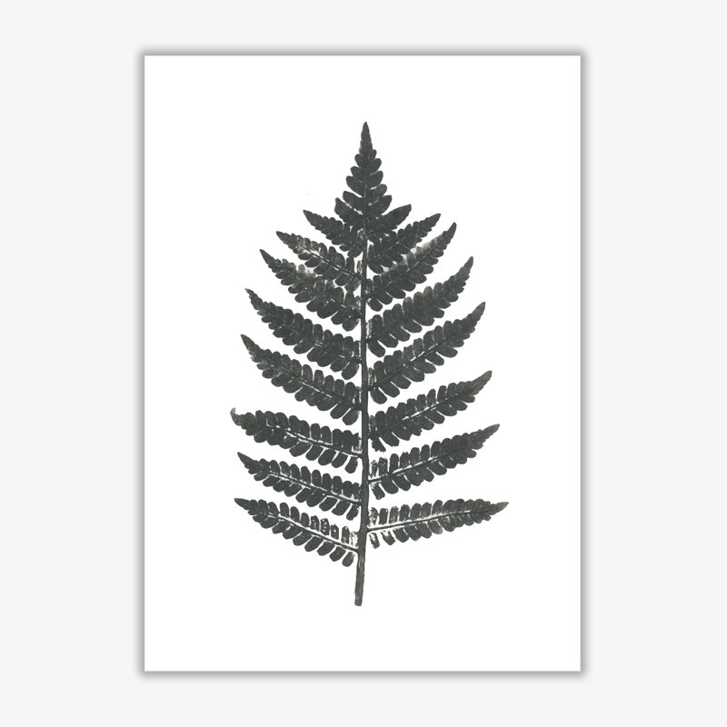 Vintage Fern - Print, 30 cm H x 21 cm W x 1 cm D, No Frame