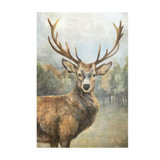 Sepia Deer Print by Eugene Fletcher
