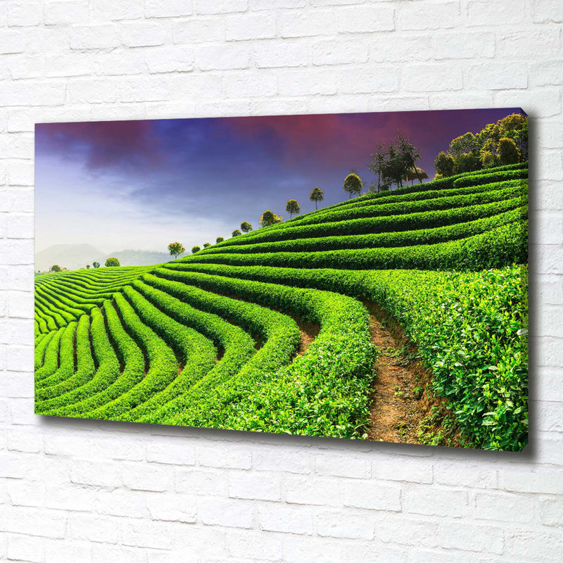 Tea Plantation - Wrapped Canvas Print
