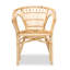 Brayonna 16.9'' H Armchair