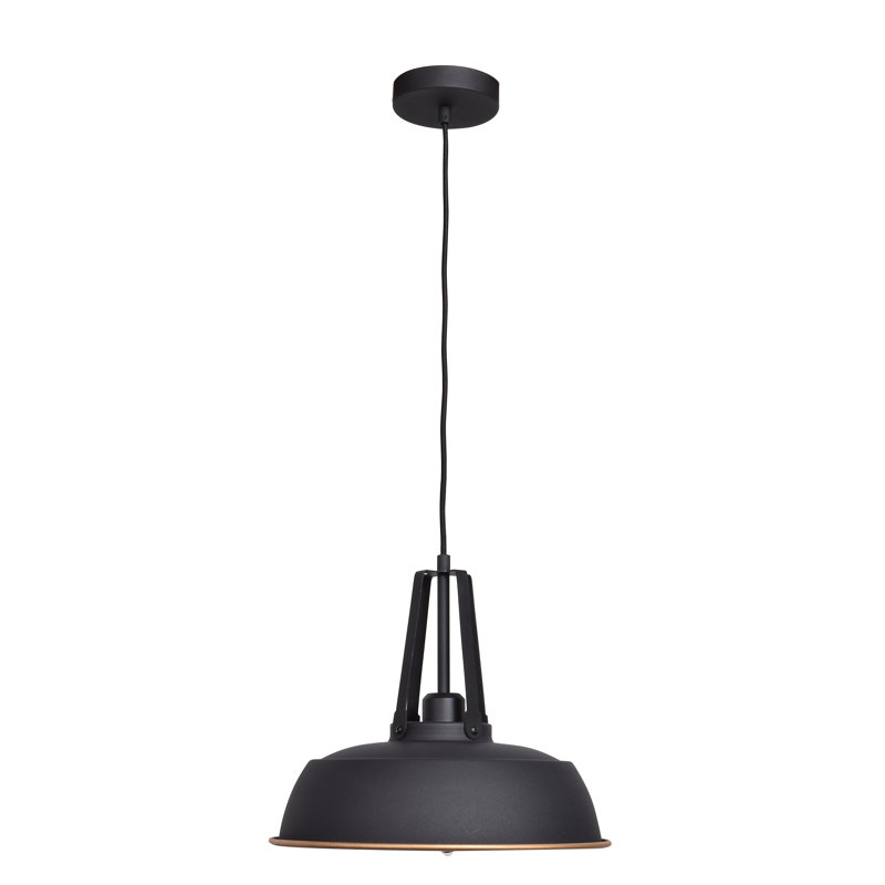 Luminaire suspendu en forme de dôme à 1 lumière Utopia, Extérieur noir mat / Intérieur or mat