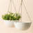 Bee Honeycomb Plastic Hanging Planter-62253644-93631317