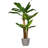 Panama 60" Artificial Banana Leaf Tree