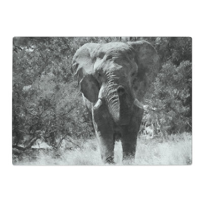 Tempered Glass the Majestic Elephant Chopping Board