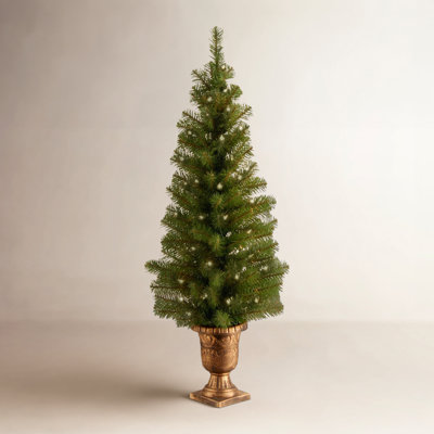 6' Pre-Lit Spruce Christmas Tree - The Holiday Aisle®