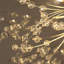 20 - Light Chandelier-590748419