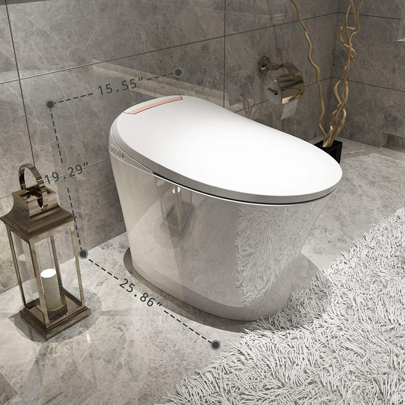 Toilette bidet allongée à double chasse