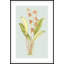 Forget Me Not 4 Print by Art House Studios-2088287772
