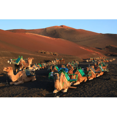 Chameaux au parc national de Timanfaya par Pixelprof