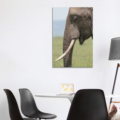 Africa, Kenya, Maasai Mara National Reserve Close-up of Elephant Head 1 Piece Wrapped Canvas Painting