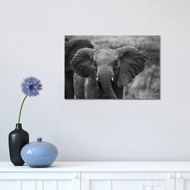 Baby Elephant by Anders Jorulf - Wrapped Canvas Print, 30.48 cm H x 45.72 cm W