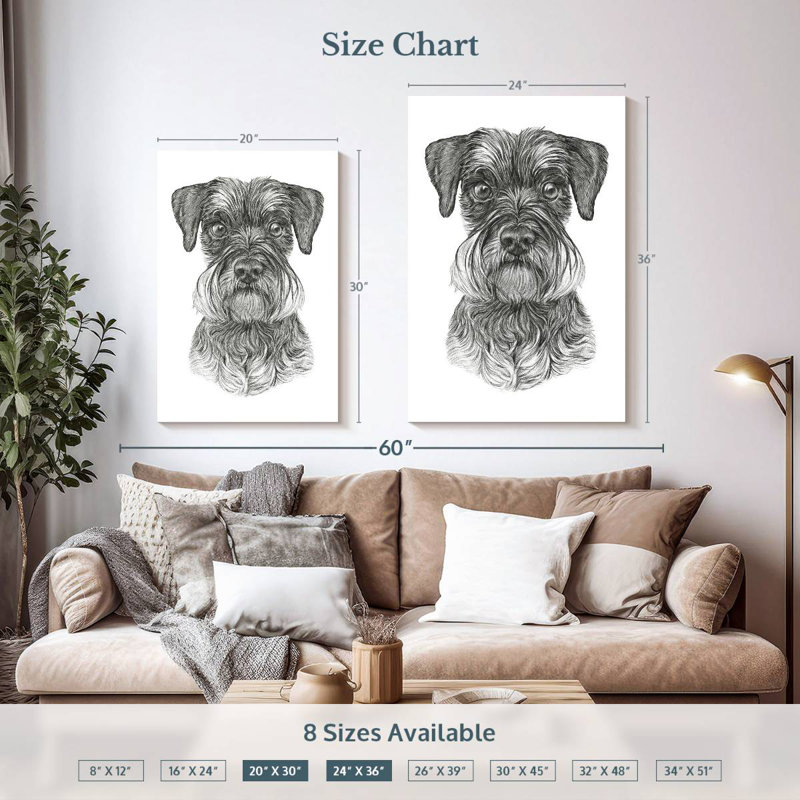Schnauzer Brampt, H 36 po x l 24 po