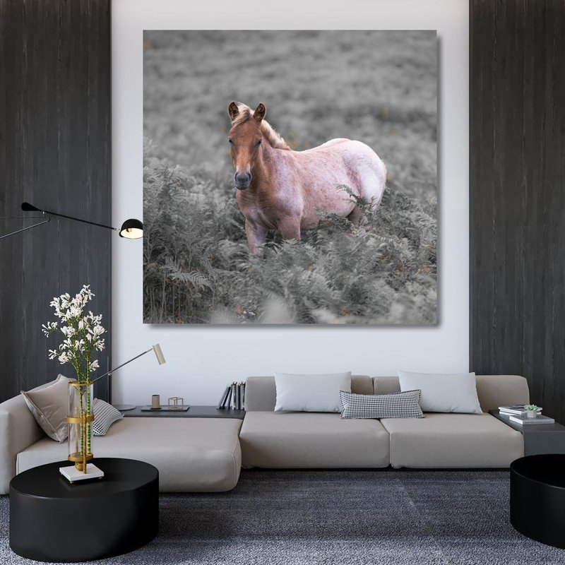 Latitude Latitude, Frank, Assaf, art sur toile tendue, Wild Horses-New Forest, H 36 po x l 36 po