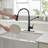Pull Down Single Handle Kitchen Faucet with Accessories-87183577