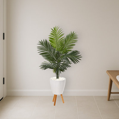 Paradise Palm Silk Tree in White Planter with Stand