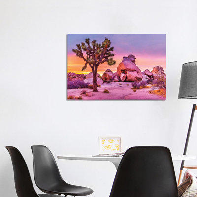 Joshua Tree National Park X par Susanne Kremer - Photographie sur toile tendue