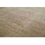 Oriental Area Rug in Beige
