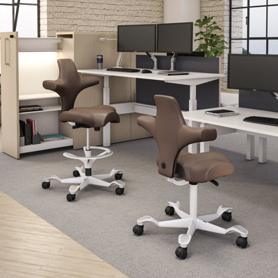  HÅG Capisco Sit-to-Stand Chair with Footring