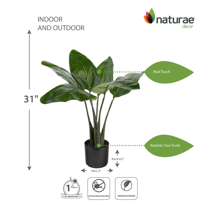 31-Inch Green Plastic Bird of Paradise Artificial Floor Plant