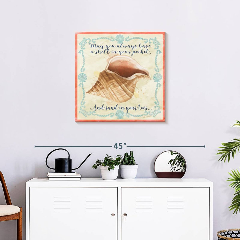 Aletra Sea Shells
