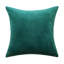 Coussin en velours