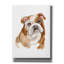 Art mural sur toile Winston Porter «Dog Portrait 3» par Katrina Pete-1474854159