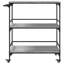 Osakis Metal Bar Cart-971730516