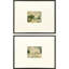 In the Meadows I Framed Art