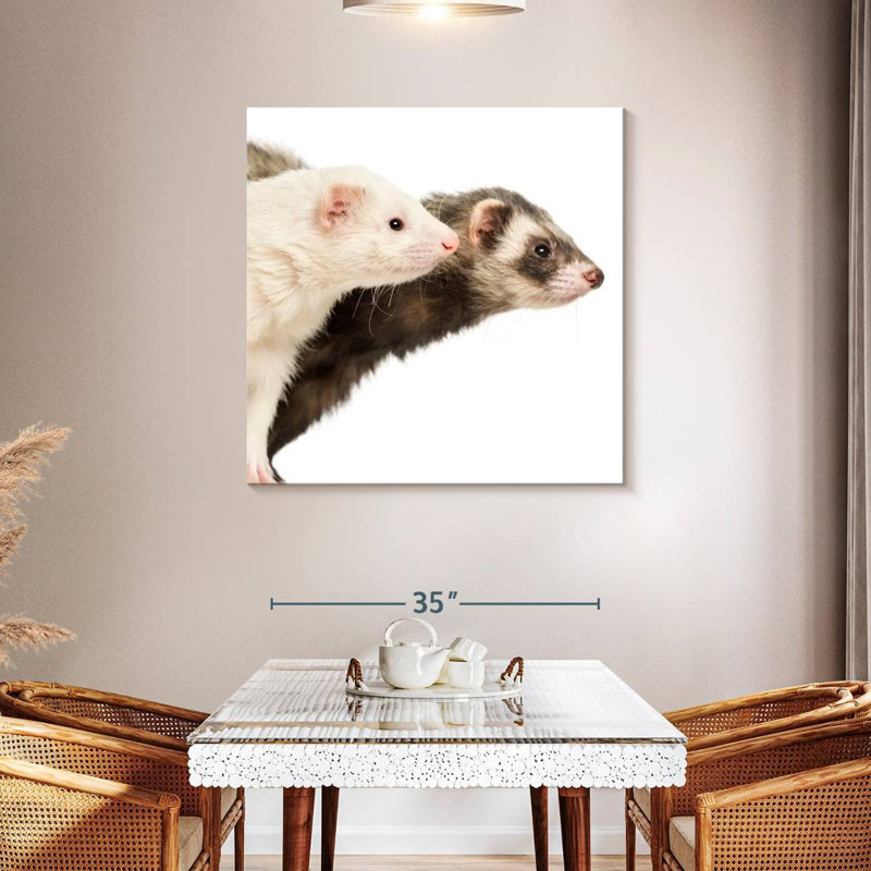 Crowle Two Curious Ferrets, 39" H x 39" W