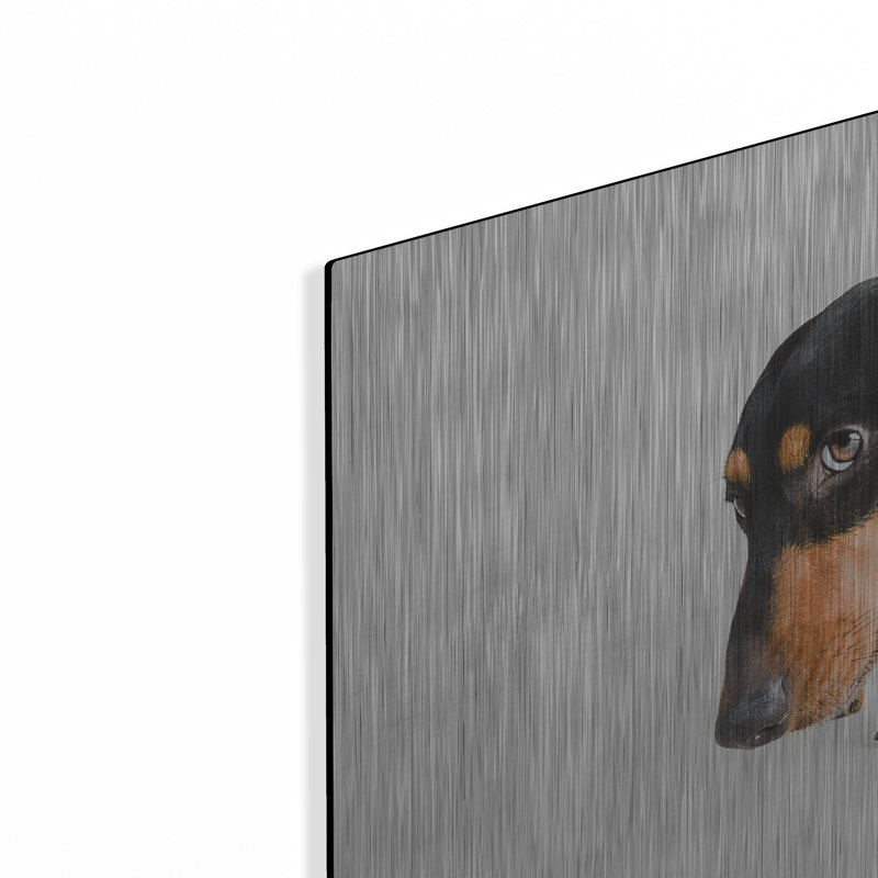 «Who Me» par Susan Sabo, H 12 po x l 16 po