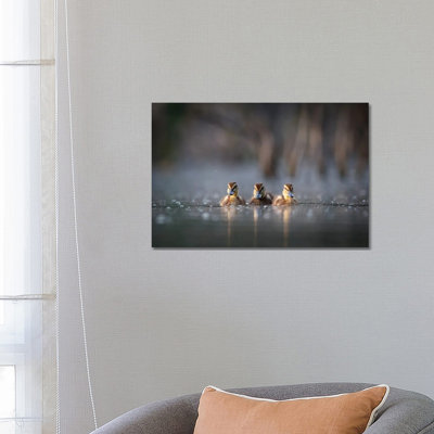 Trio by Mateusz Piesiak - Wrapped Canvas Print
